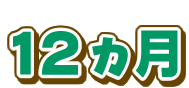 12J