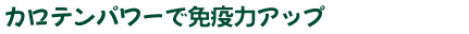 Jep[ŖƉu̓Abv