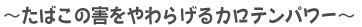 `΂̊Q炰Jep[`
