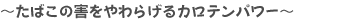 `΂̊Q炰Jep[`
