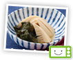 若竹煮
