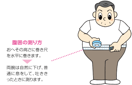 腹囲の測り方